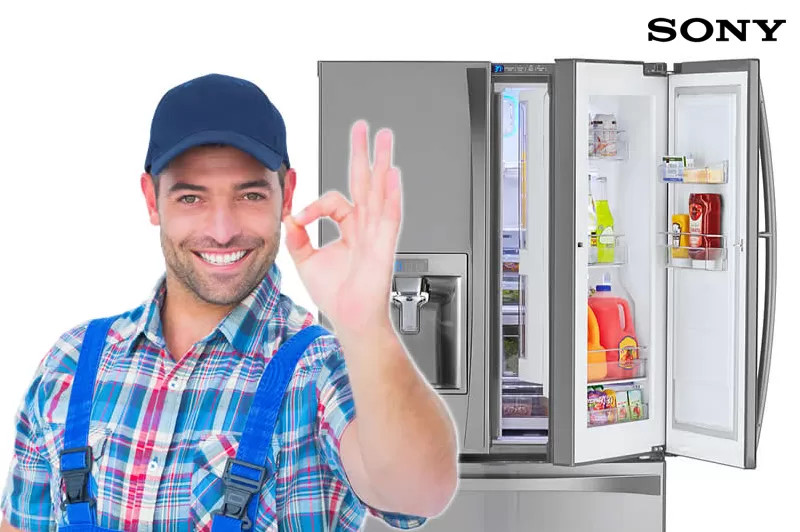 فروع صيانه سوني