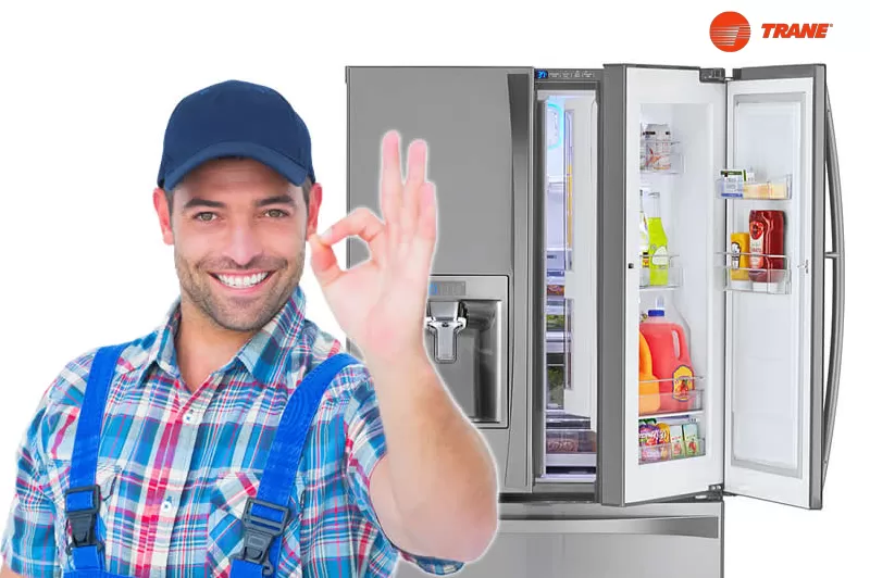 فروع صيانه ترين